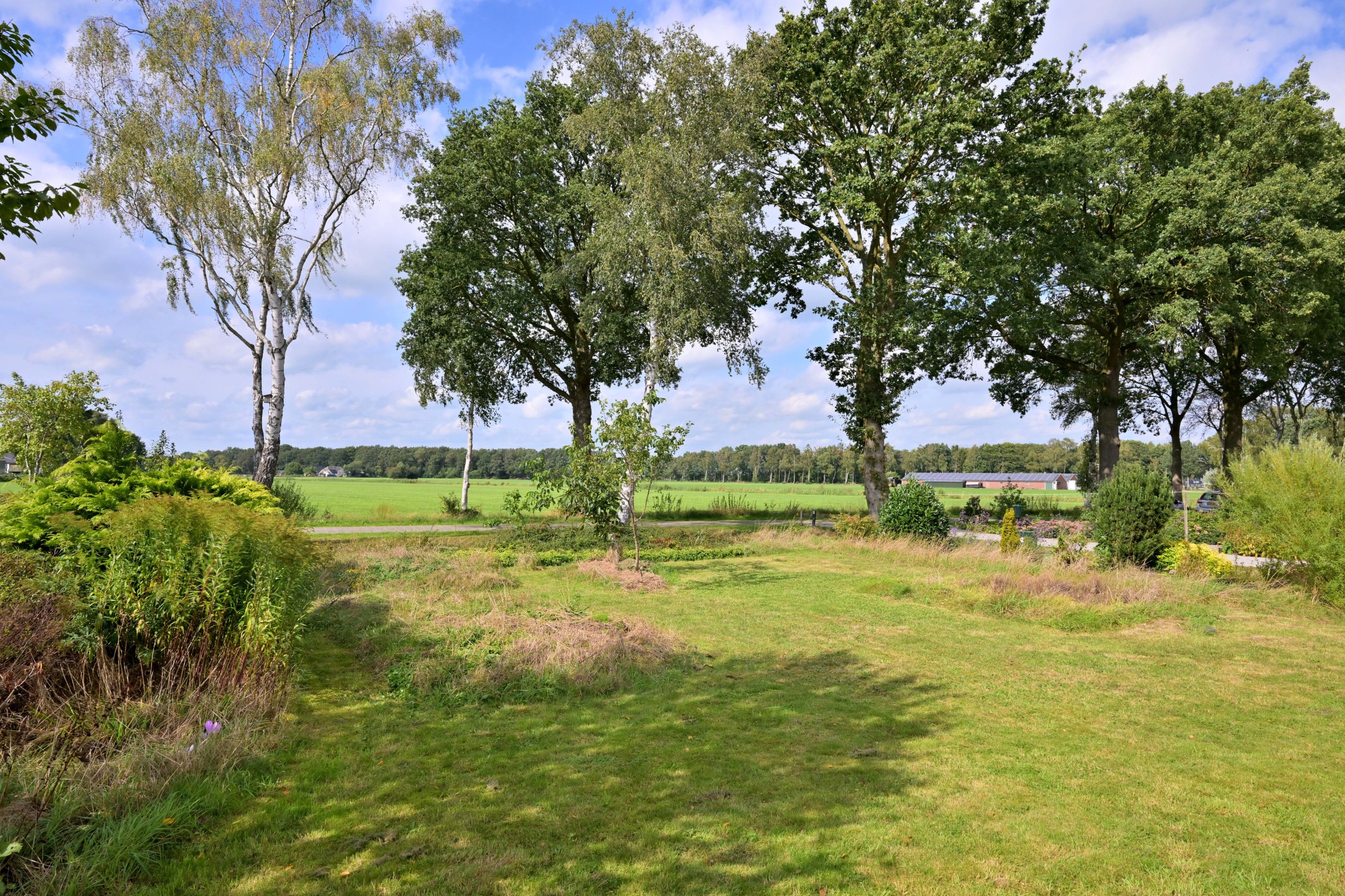 45_Schaarsweg-5-77